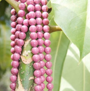 Rhodonite Beads Pink